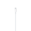 Apple USB-C to Lightning Cable (1 m) | Fast-Charge & Sync Cable