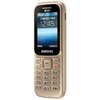 SAMSUNG Guru Music 2 B310E (Gold)